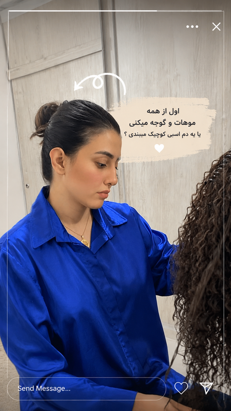ست دم اسبی کیلپسی و سوسکی فیک